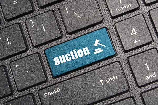 Government Auctions